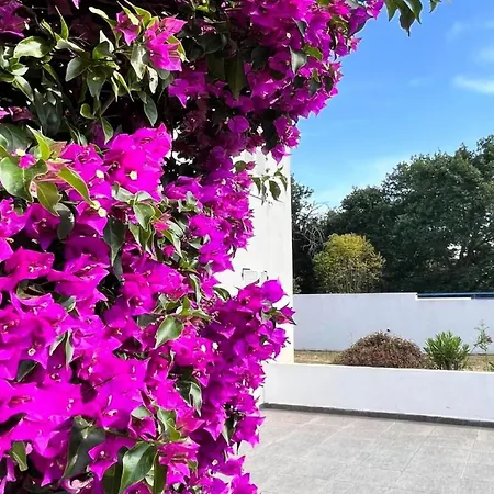 Apartment Amanda By Interhome *