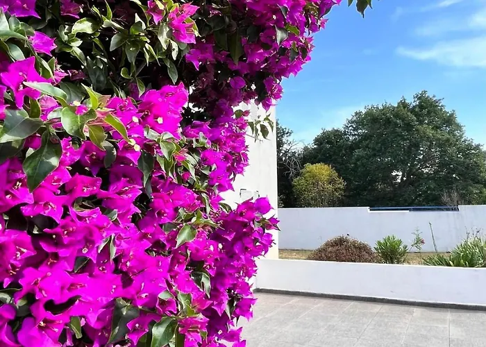 Apartamento Amanda By Interhome *