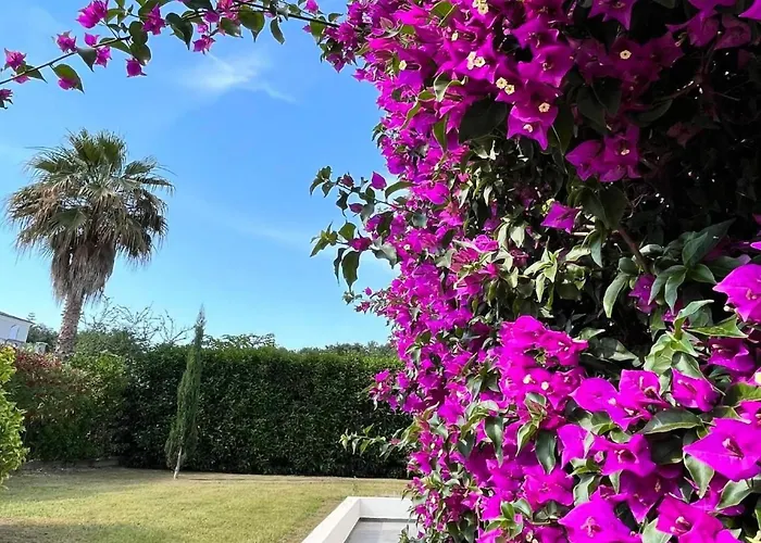 Apartamento Amanda By Interhome *