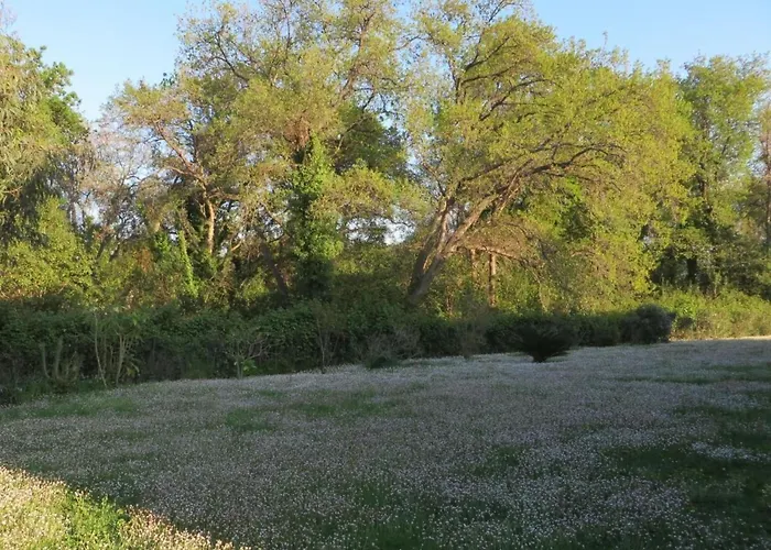 Amanda By Interhome *