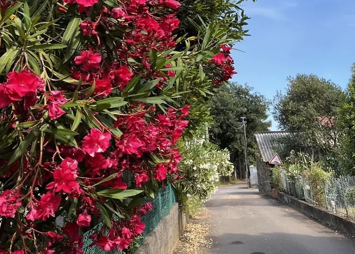 Amanda By Interhome Apartamento *