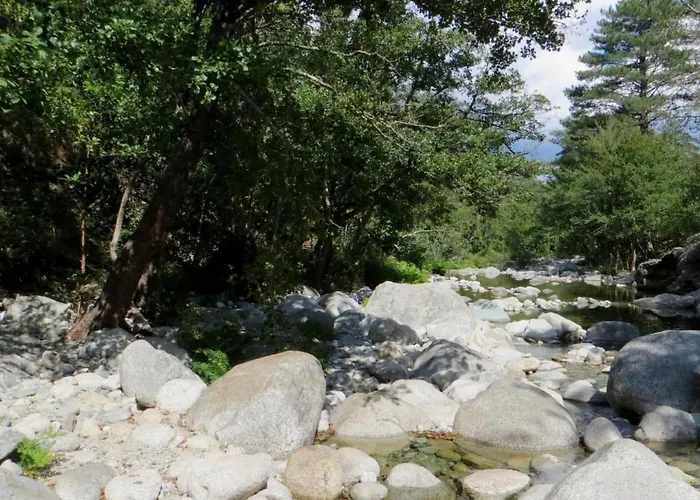 Amanda By Interhome Apartamento Santa-Lucia-di-Moriani