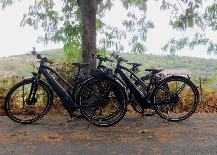 Amanda By Interhome * Santa-Lucia-di-Moriani