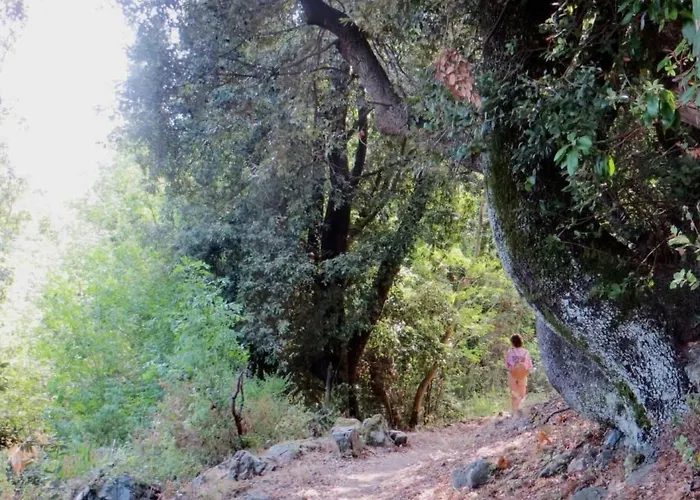 Apartment Amanda By Interhome